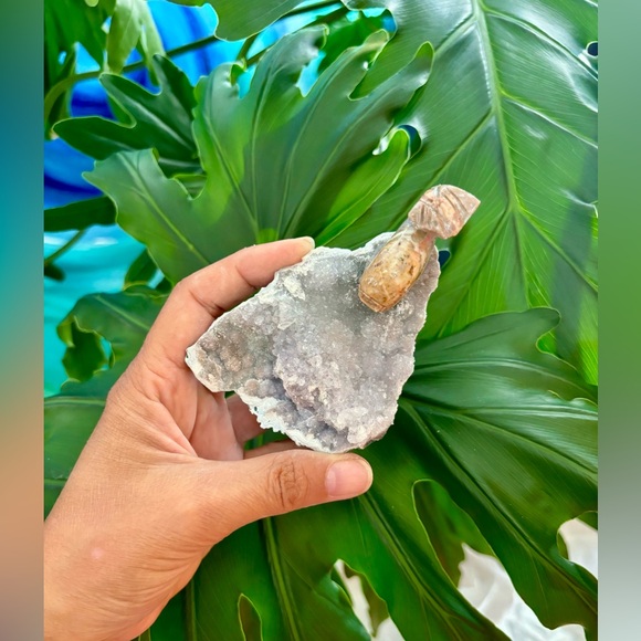 Whale Carving on Amethyst flower - Picture 4 of 5